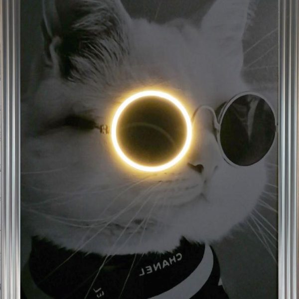 تابلو نئون گربه