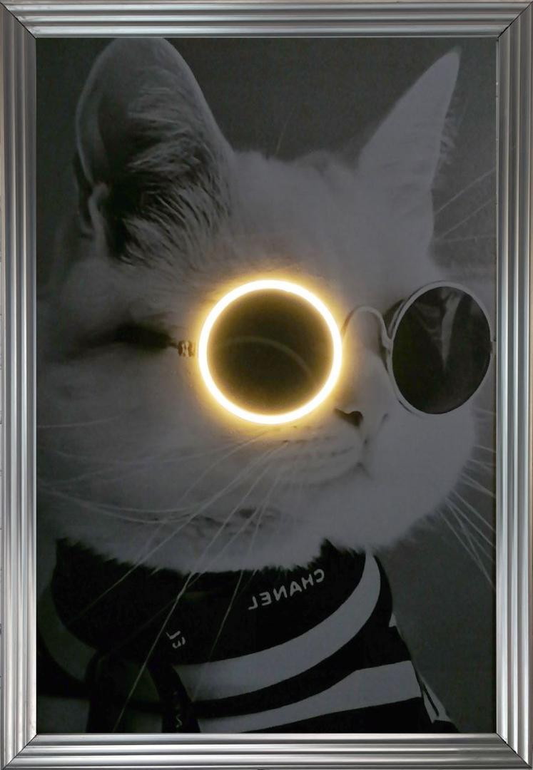 WhatsApp Image 2025-09-28 at 21.16.14_262c13ac